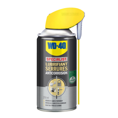 WD-40 spécialist lubrifiant serrure - aérosol de 250 ml
